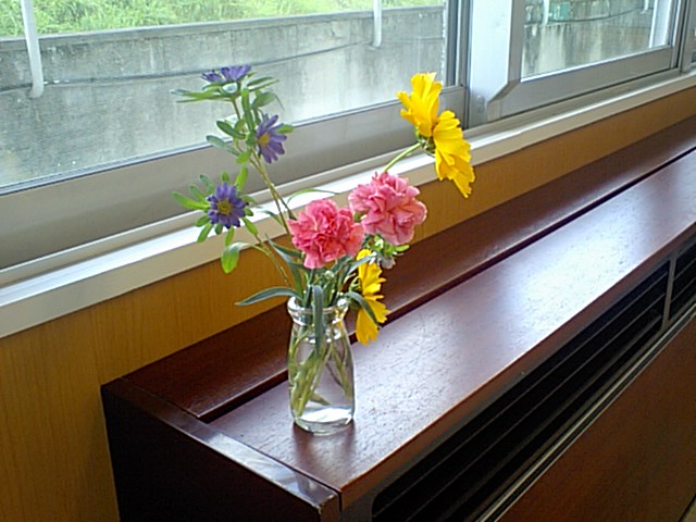 CA340230001.jpg