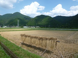P1220511.jpg