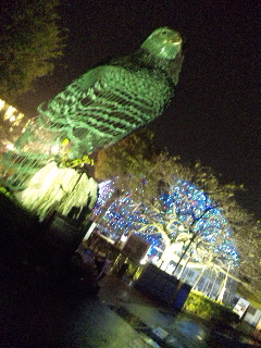 101024_201223.jpg