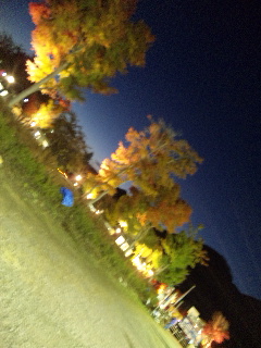 101106_172836.jpg