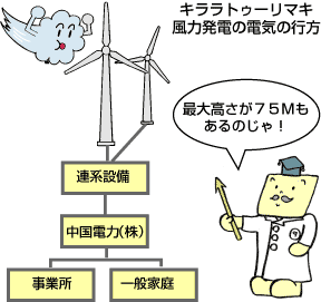 キララ連系資料