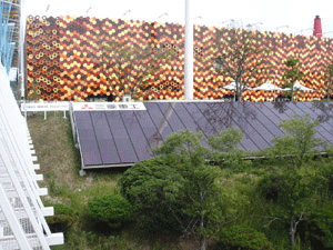 太陽電池