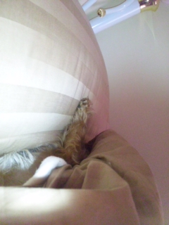 100312_072521.jpg