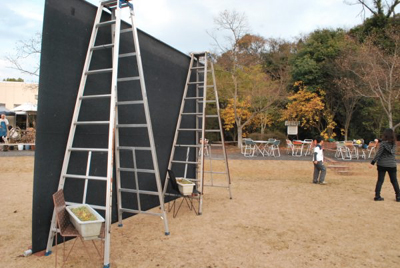 1212洋らん2