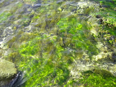 田ノ浦226_10