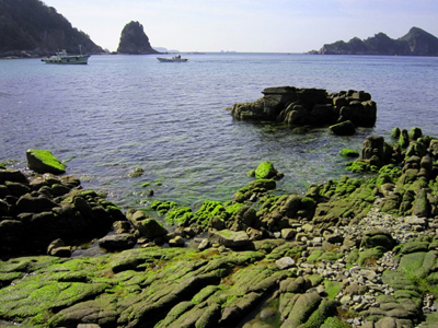 田ノ浦226_14