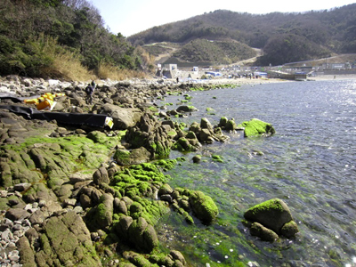 田ノ浦226_17