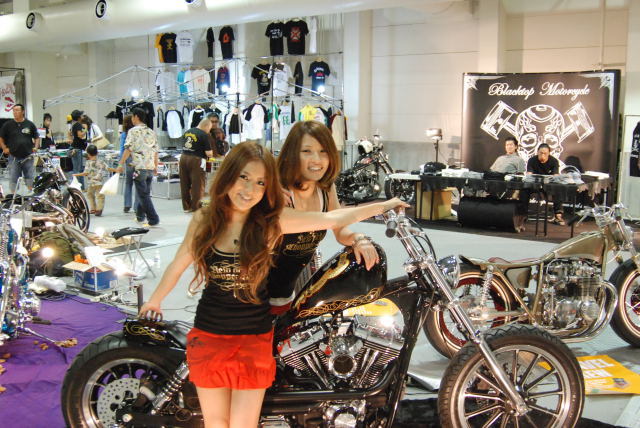 105cycleservice dyna chopper