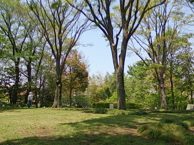 DSC_3513.jpg