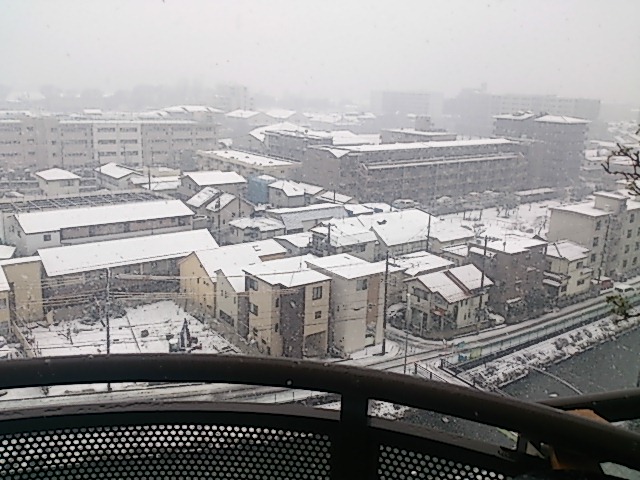 DSC_7363.jpg