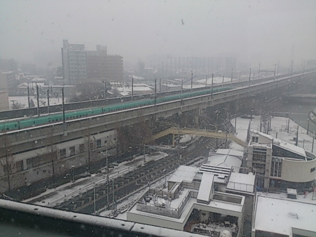 DSC_7367.jpg