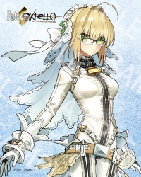 Fate/EXTELLA】新作イメージコラボ眼鏡、発売決定！ | 執事眼鏡