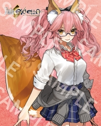 Fate/EXTELLA】新作イメージコラボ眼鏡、発売決定！ | 執事眼鏡 eyemirror