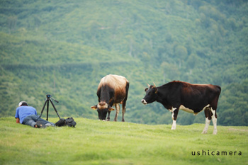 岩手県中洞牧場 −うしカメラ 牛写真家の牧場訪問記−