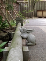 名月院のうさぎ