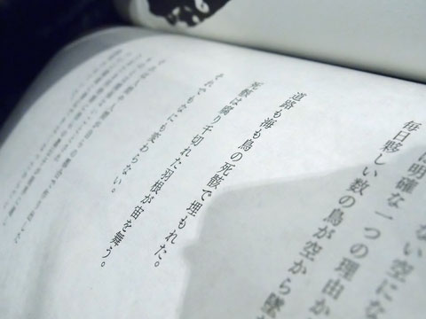 「鳥の王 - Král o ptácích」発売記念パーティー のお知らせ。
