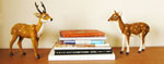 bookstop