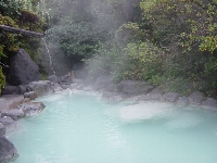 青磁湯