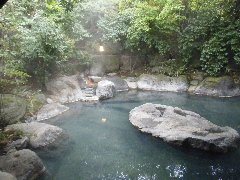 山しのぶ