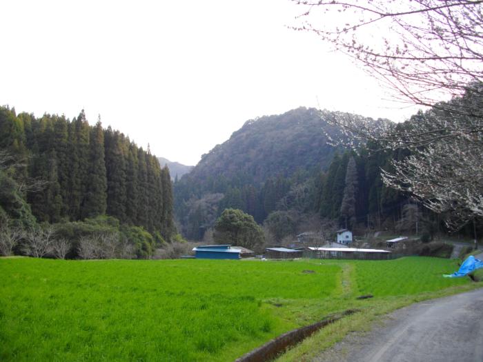犬飼滝近くの風景