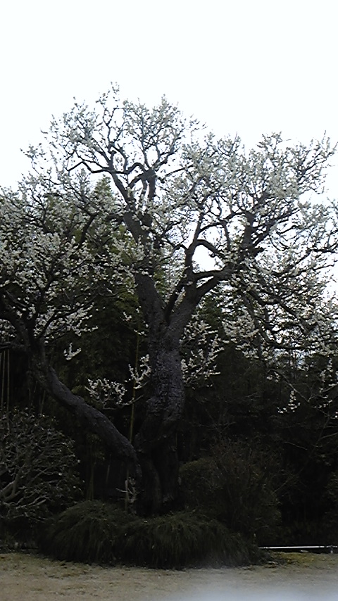 090228_161507.jpg