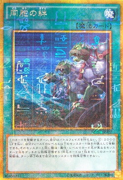 遊戯王 「同胞の絆」の買取価格が上がる! 魔弾の影響で需要増?