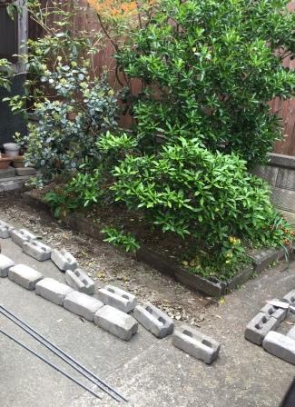花壇途中