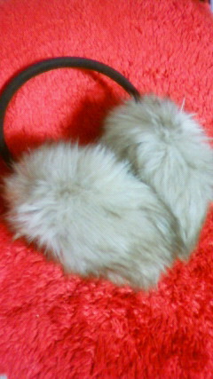 201012080021000.jpg