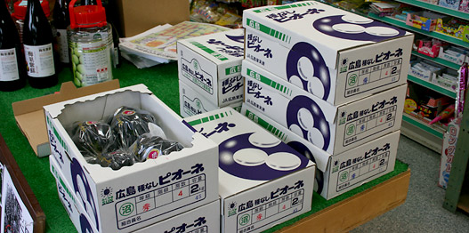 2007年・沼隈ぶどう販売開始!