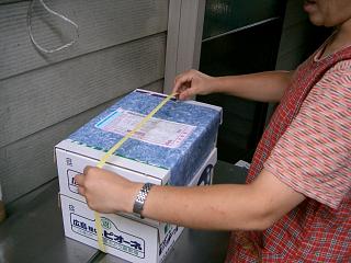 田中商店/沼隈ぶどう発送作業