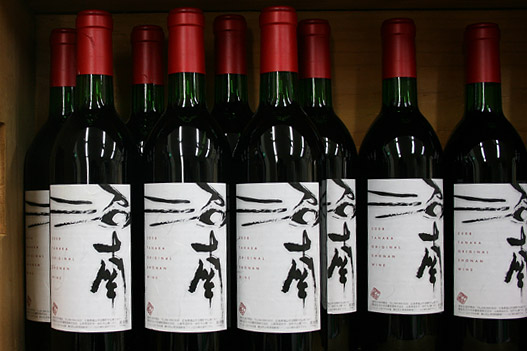 田中商店 / 2009年度「沼南ワイン」醸造用ぶどう生育中!
