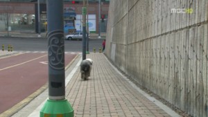 k106.avi_000246513.jpg