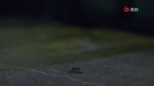 p12.avi_002724524.jpg