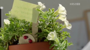 l13.avi_002407507.jpg