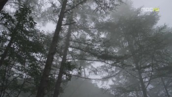 ar07059.jpg