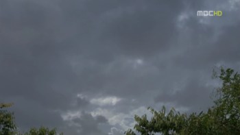 ara17018.jpg