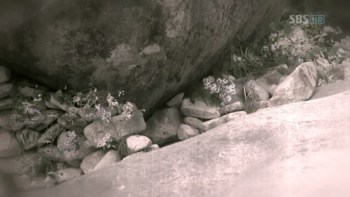 si19047.jpg