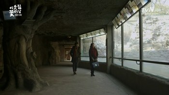 tn13048.jpg