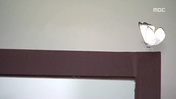 jo01053.jpg