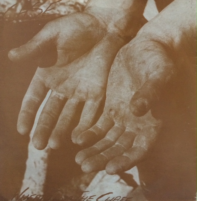 image1.JPG