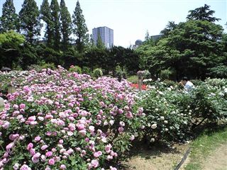 お父さん