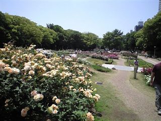お父さん