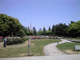 お父さん