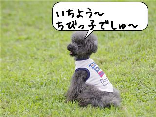 アジ