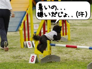 アジ