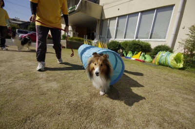 セラピー