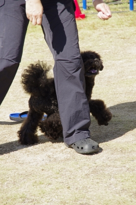 セラピー
