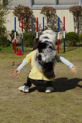 セラピー