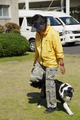 セラピー