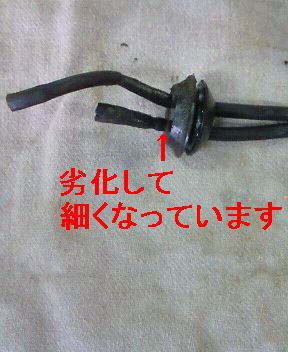 NEC_0045.JPG